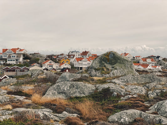To Buy or to Rent: The Real Estate Market in Sweden