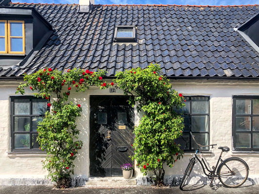 Living with a Swede: 10 Things You Have to Deal With