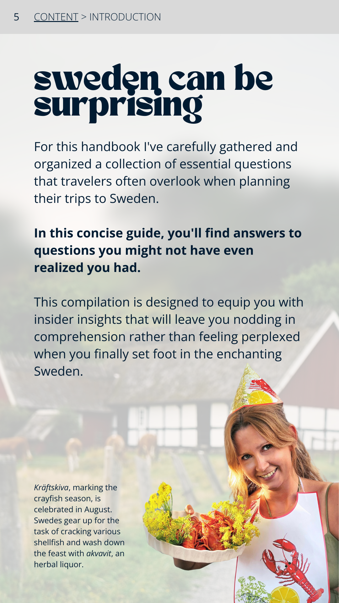 Sweden: Must-Knows EN (Before Travel Handbook: Crucial Tips)