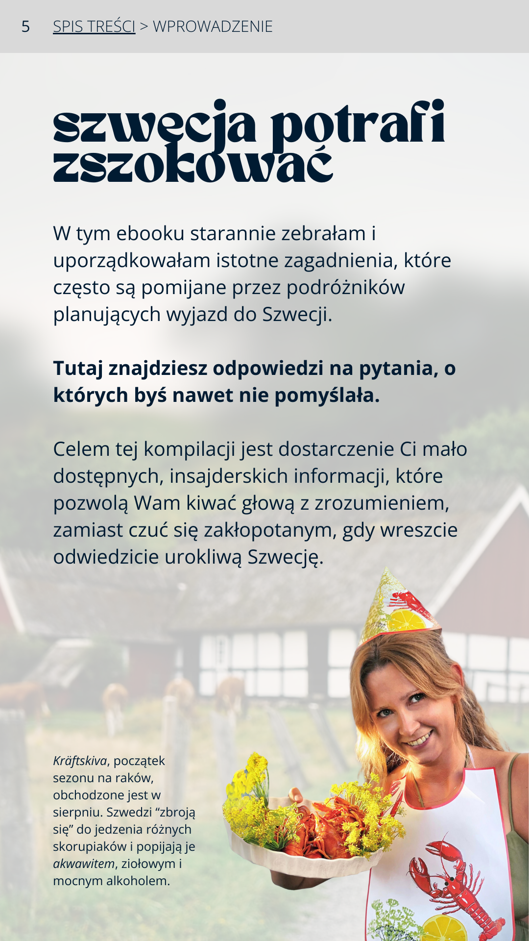 Szwecja: Co Musisz Wiedzieć PL (Wskazówki: Poradnik Przed Podróżą)