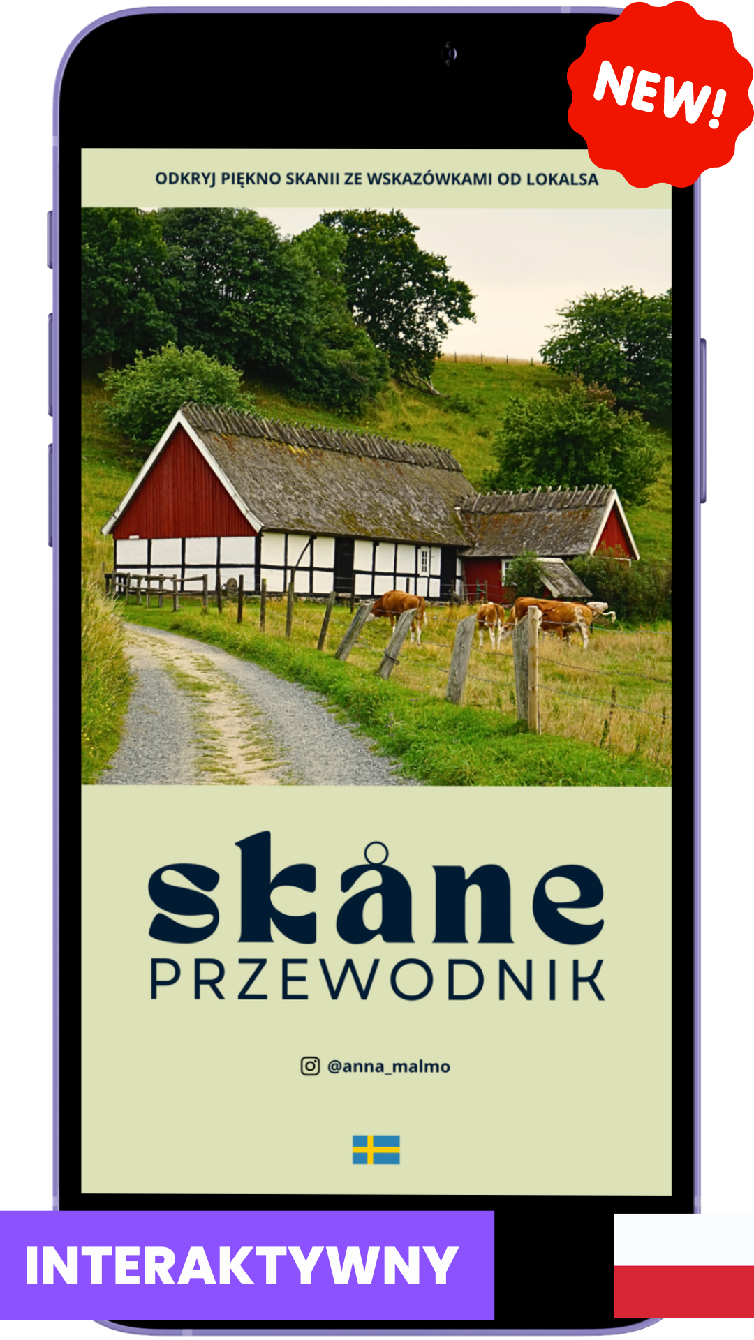 Skåne: Przewodnik PL (Przewodnik po Skanii + Mapy)